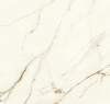 Керамогранит Marvel Calacatta Imperiale 120x120 Matt