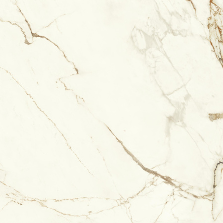 Керамогранит Marvel Calacatta Imperiale 120x120 Matt