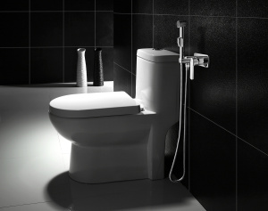 Гигиенический душ со смесителем Lemark Plus Grace LM1519C Хром
