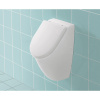 Писсуар, Villeroy&Boch, тип установки-подвесной, ширина, мм-285, глубина, мм-315, высота, мм-535, подвод воды-скрытый, сифон-необходимо заказать, мате