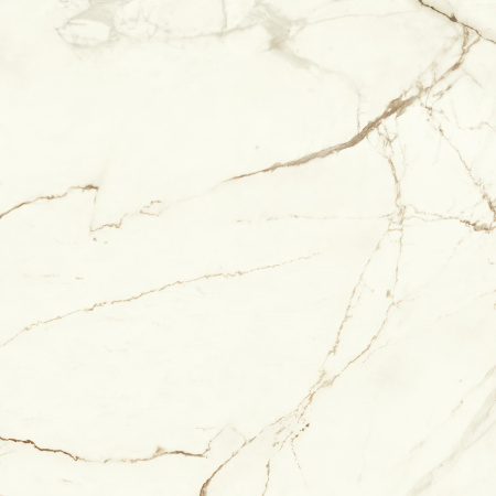 Керамогранит Marvel Calacatta Imperiale 120x120 Matt