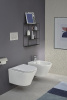 EMJ0002-00 Биде подвесное RODIN с отверстием для смесителя (белый)
