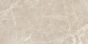 Керамогранит K951327LPR01VTEP Marmostone Норковый Лаппато R9 60*120(снято с проз-ва)