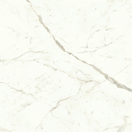 Керамогранит Marvel Calacatta Prestigio 120*120 Matt